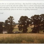 Badingham/quotation 20 (Eugene-MacNeill)