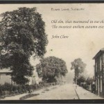 Leek Wootton elm/quotation 4 (John Clare)